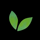 Favicon of Simple Green Smoothies