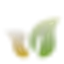 Simple Wellness logo