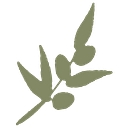 Simply Organic Beauty logo