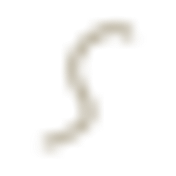 Singita logo