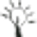 The Singleton Company logo