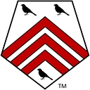 SingTone Technologies