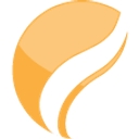 Strategic Investment Solutions logo
