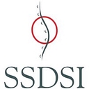 Six Sigma Development Solutions, Inc. logo