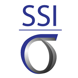 Logo Lean Six Sigma