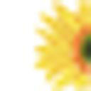 Skees Family Foundation logo