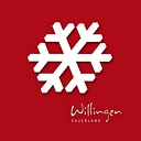 skigebiet-willingen.de icon