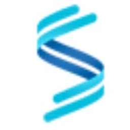 Skillful Technologies INC logo