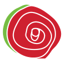 THE SKILLMAN FOUNDATION logo