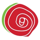 The Skillman Foundation logo