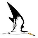 Skimmer logo