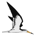 Skimmer logo — hiring for Senior Product Manager