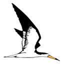 Skimmer logo