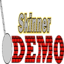 Skinner Demolition logo