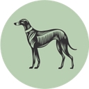 Skinny Dog Hotel logo