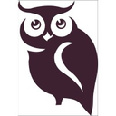 skinowl.com logo