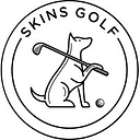 Logo for skinsgolf.com