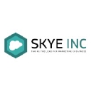 Favicon of Skye Inc