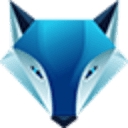 Skyline Building Care logo