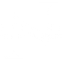 Skyline Risk Management, Inc. logo