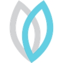 Skymint Brands logo