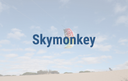 Skymonkey logo