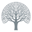 Skyoak logo