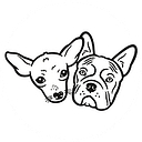 Sky Sanctuary Rescue logo