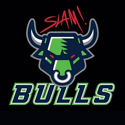 Sports Leadership and Management Academy logo
