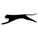 Slazenger Padel Clubs logo