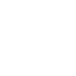 Slesha IT Inc logo