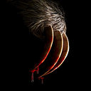 Slotherhouse