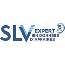 Slv Expert Inc logo