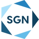Small Group Network logo