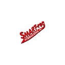 Smart Reg International, Inc. logo