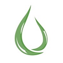 Smart Alternative Fuels logo
