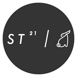 Smartek21 logo