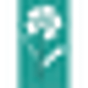Smile Plus Dentistry logo