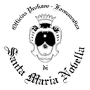 Santa maria novella