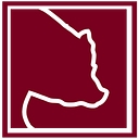 Saia Motor Freight Lines Inc logo