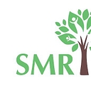 Smr Counseling Services, Llc logo