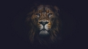 Stewart Miller Simmons Trial Attorneys logo