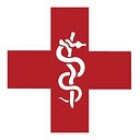 SnakeStaff Systems logo