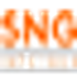SNG Infotech, Inc. logo