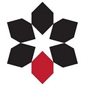 Snow Country Limousine logo