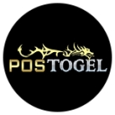 Logo for soaestheticshop.com
