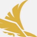 Soar Consulting logo