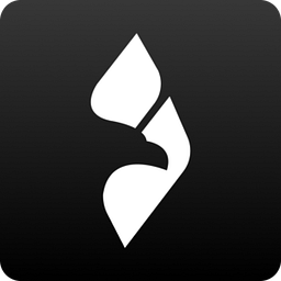 Soaring logo