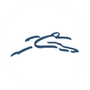 The Physiatry Medical Group Inc logo