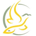 Soar Therapy and Integrated Wellness